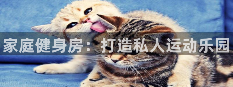 意昂2招商