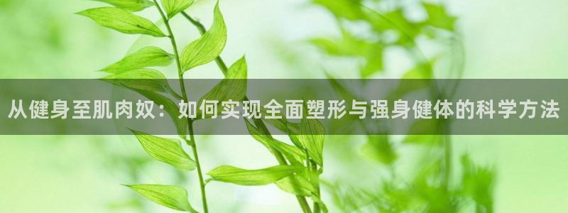 意昂2官方平台